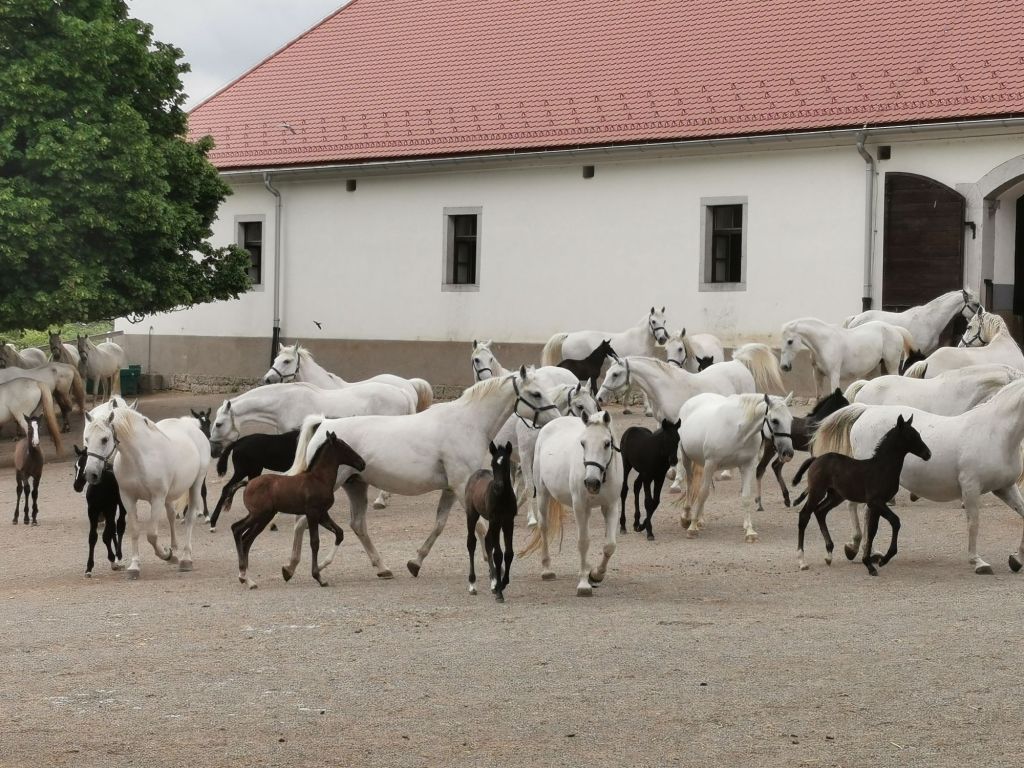 wp-17207927309374590110803072633328